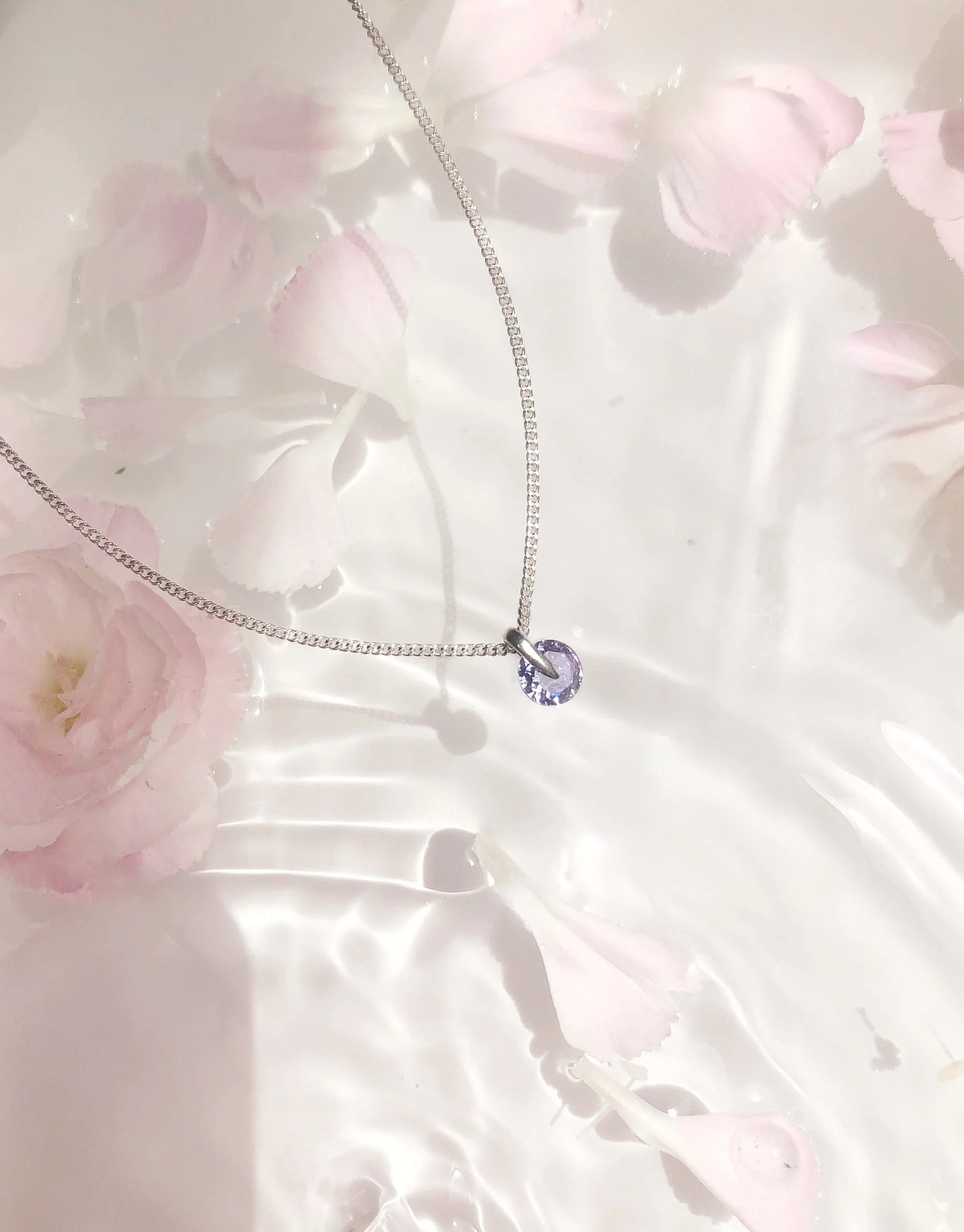 Collar Bright Night